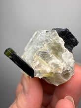 Load image into Gallery viewer, Dark Green Cap Stak Nala Tourmaline on Cleavelandite Matrix – Haramosh Mountains, Pakistan
