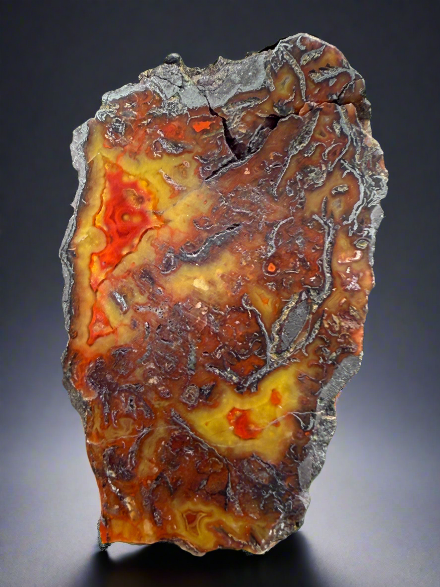 Moroccan Orange, Yellow, Red Agate Collected by Indigenous Nomads | Ancient Beauty from the Sahara