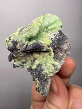 Load image into Gallery viewer, High-Grade Green Wavellite Collectors Specimen - Radiating Botryoidal Crystal Formation - Arkansas, USA
