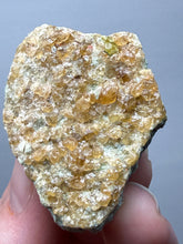 Load image into Gallery viewer, Hessonite Garnet Cluster on Matrix – Natural Collector Specimen from Pakistan | High-Grade Orange-Red Garnet Crystals
