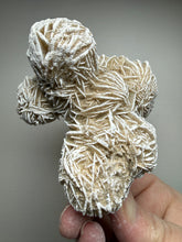 Load image into Gallery viewer, Desert Rose Selenite (Gypsum) — Mineral Display Specimen | Mexico
