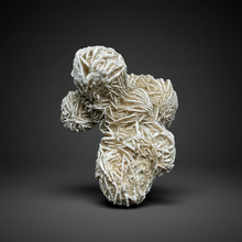 Load image into Gallery viewer, Desert Rose Selenite (Gypsum) — Mineral Display Specimen | Mexico
