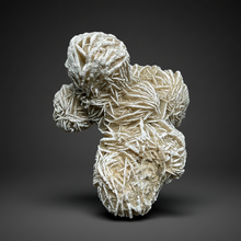 Load image into Gallery viewer, Desert Rose Selenite (Gypsum) — Mineral Display Specimen | Mexico
