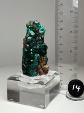 Load image into Gallery viewer, Dioptase Cluster from Congo • High Grade • Mineral Collector’s Specimen Showpiece
