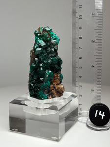 Dioptase Cluster from Congo • High Grade • Mineral Collector’s Specimen Showpiece