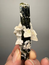 Load image into Gallery viewer, Dark Green Cap Stak Nala Tourmaline and Cleavelandite – Haramosh Mountains, Pakistan

