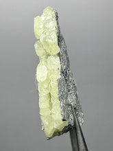 Load image into Gallery viewer, Vibrant Yellow Brucite Thumbnail Mineral Specimen | Collector Crystal from Killa Saifullah District in Balochistan Province, Pakistan
