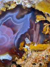 Load image into Gallery viewer, MUSEUM Turkish Agate with Intriguing Inclusions – Great Sticks, Banding and Eyes - Turkey
