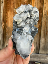 Load image into Gallery viewer, Clear Gem Apophyllite Cluster on black matrix • Maharashtra, India
