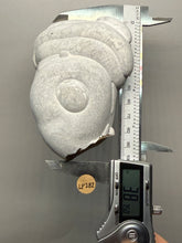 Load image into Gallery viewer, Chichaoua Menalite “Fairy Stone” Concretion | Natural Collector Display Specimen | Morocco

