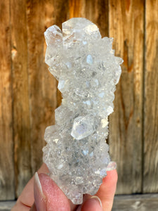 Clear Gem Apophyllite Encrusted Stalactite • Maharashtra, India