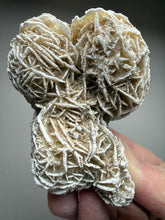 Load image into Gallery viewer, Desert Rose Selenite (Gypsum) — Mineral Display Specimen | Mexico
