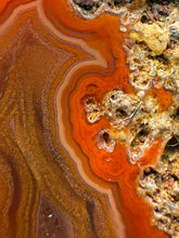 Load image into Gallery viewer, Polished Malawi Agate Half – High-Grade African Banded Agate Display Specimen
