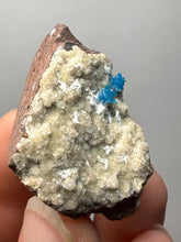 Load image into Gallery viewer, Rare Electric Blue Pentagonite on Druzy Matrix – Collector Mineral Specimen | India

