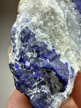 Load image into Gallery viewer, Afghan Lazurite Specimen | Deep Blue Lapis-Grade Crystal on Matrix | Collector Display Mineral
