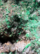 Load image into Gallery viewer, Brochantite Collector Mineral Specimen – Vivid Green Copper Crystals from Morocco
