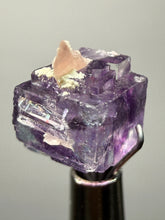 Load image into Gallery viewer, Rhodochrosite + Quartz on Purple Isometric Fluorite (Thumbnail Specimen) | Wutong Mine, China
