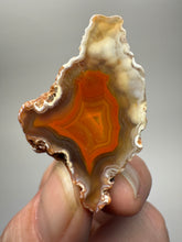 Load image into Gallery viewer, Polished Malawi Agate Half – High-Grade African Banded Agate Display Specimen
