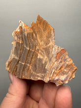 Load image into Gallery viewer, Chalcedony Quartz Rose Agate Collector Mineral Specimen – Morocco
