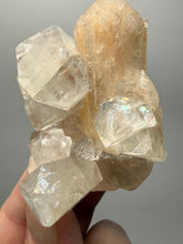 Load image into Gallery viewer, High-Grade Apophyllite on Pink Stilbite Zeolite | Indian Collector Mineral Specimen
