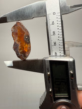 Load image into Gallery viewer, Lot of 4 Small Malawi Agate Halves – Polished Rare Colorful Collector Specimens

