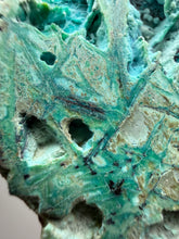 Load image into Gallery viewer, 4” Polished Native Copper in Chrysocolla — Display Specimen (Indonesia)
