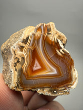 Load image into Gallery viewer, Indonesian Sumatra Agate Half – Vibrant Banded Chalcedony with Rich Color Zoning | Ethical Lapidary &amp; Collector Display Specimens

