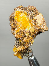 Load image into Gallery viewer, High-Grade Orange Wulfenite Collector Display Specimen | La Morita Mine, Chihuahua, Mexico
