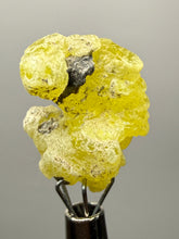 Load image into Gallery viewer, Vibrant Yellow Brucite Thumbnail Mineral Specimen | Collector Crystal from Killa Saifullah District in Balochistan Province, Pakistan
