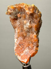 Load image into Gallery viewer, Sunset Goblin Chalcedony Botryoidal Stalactite | Sidi Rahal, Morocco (Western Sahara) Mineral Display Specimen
