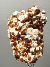 Load image into Gallery viewer, Hessonite Garnet on Feldspar | Mineral Collector Specimen | Pakistan
