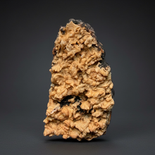 Load image into Gallery viewer, Rose Botryoidal Chalcedony Agate from Morocco – Druzy Cabinet Specimen
