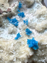 Load image into Gallery viewer, Rare Electric Blue Pentagonite on Druzy Matrix – Collector Mineral Specimen | India
