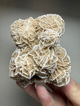 Load image into Gallery viewer, Desert Rose Selenite (Gypsum) — Mineral Display Specimen | Mexico
