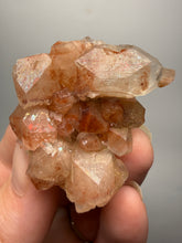 Load image into Gallery viewer, Rare Red Apophyllite Crystal Cluster – High Grade Collector Mineral Specimen | India
