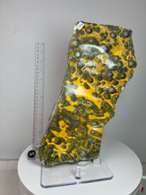 Load image into Gallery viewer, Bumblebee Jasper Agate Free Form • from West Java, Indonesia • AAA High Grade
