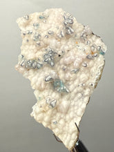 Load image into Gallery viewer, Blue-Green Chrysocolla in Botryoidal Chalcedony Cabinet Specimen | Indonesia
