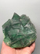 Load image into Gallery viewer, Green Cubic Fluorite — Yiwu, Jinhua, Zhejiang, China (Collector Specimen)
