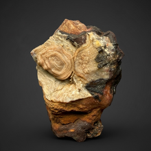Load image into Gallery viewer, Chalcedony Quartz Rose Agate Collector Mineral Specimen – Morocco
