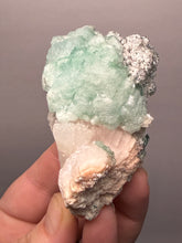 Load image into Gallery viewer, High-Grade Gemmy Green Apophyllite on White Stilbite  | Deccan Traps, Maharashtra, India
