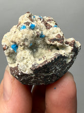 Load image into Gallery viewer, Rare Electric Blue Pentagonite on Druzy Matrix – Collector Mineral Specimen | India

