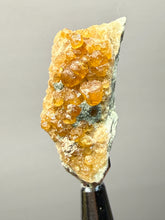 Load image into Gallery viewer, Hessonite Garnet Cluster on Matrix – Thumbnail Collector Specimen from Pakistan | High-Grade Orange-Red Garnet Crystals
