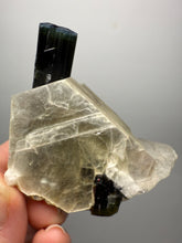 Load image into Gallery viewer, Blue Cap &amp; Green Cap Dark Green Stak Nala Tourmaline on Cleavelandite Matrix – Haramosh Mountains, Pakistan
