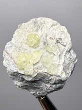 Load image into Gallery viewer, Vibrant Yellow Brucite Thumbnail Mineral Specimen | Collector Crystal from Killa Saifullah District in Balochistan Province, Pakistan
