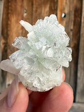Load image into Gallery viewer, Light Mint Green Radial (Disco Ball) Apophyllite + Pink Stilbite • Maharashtra, India
