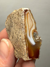 Load image into Gallery viewer, Premium Sumatra Agate (Banded Chalcedony) Display Specimen | Indonesia

