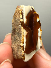 Load image into Gallery viewer, Premium Sumatra Agate (Banded Chalcedony) Display Specimen | Indonesia
