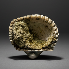 Load image into Gallery viewer, Bivalve (Pelecypoda) Fossil Sea Shell with Chalcopyrite | Mineralized Fossil Specimen | Indonesia
