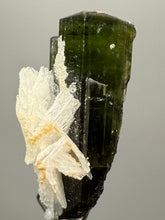 Load image into Gallery viewer, Green Cap Stak Nala Tourmaline with Cleavelandite – Haramosh Mountains, Pakistan | Thumbnail Specimen
