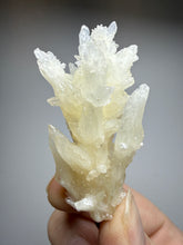 Load image into Gallery viewer, High-Grade Coral Aragonite Specimen | Wenshan Mine, Yunnan, China | Collector Mineral Display
